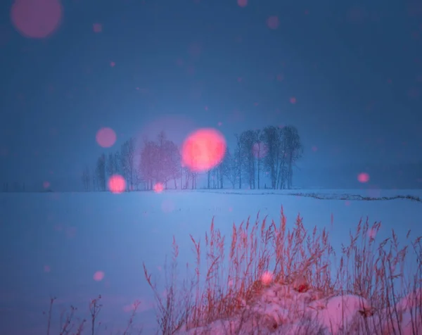 Une Scène Hiver Artistique Avec Neige Rouge Avec Lumière Artificielle — Photo