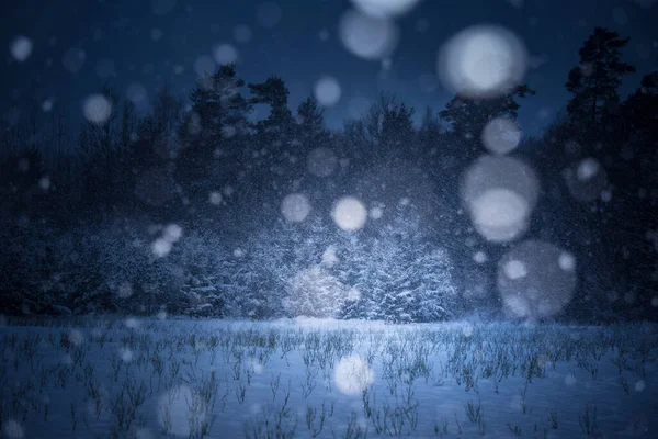 Темні Зимові Пейзажі Білим Сніговим Боке Снігове Північній Європі Сніжний — стокове фото