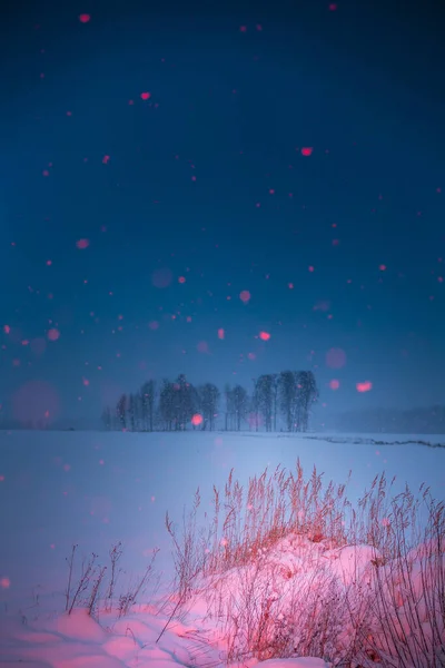 Художня Зимова Сцена Червоним Снігом Штучним Світлом Сніжний Пейзаж Яскравим — стокове фото