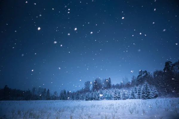 Een Prachtig Donker Winterlandschap Tijdens Het Sneeuwen Heldere Witte Sneeuwvlokken — Stockfoto