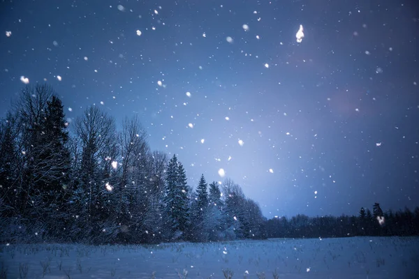 Smukt Mørkt Vinterlandskab Mens Sner Lyse Hvide Snefnug Snowy Landskab - Stock-foto