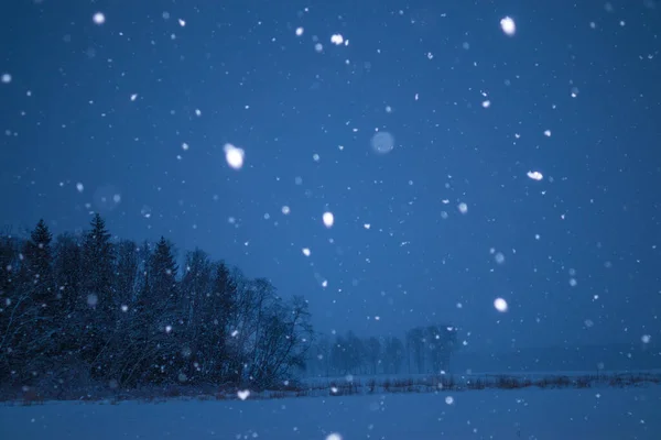 Гарний Темний Зимовий Пейзаж Під Час Снігопаду Яскраві Білі Сніжинки — стокове фото