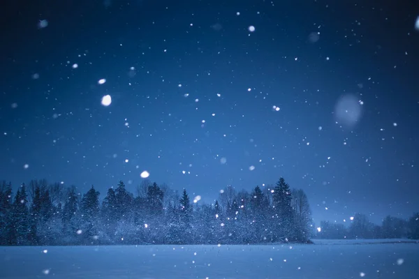 Гарний Темний Зимовий Пейзаж Під Час Снігопаду Яскраві Білі Сніжинки — стокове фото