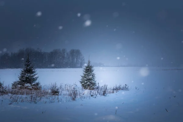 Een Prachtig Donker Winterlandschap Tijdens Het Sneeuwen Heldere Witte Sneeuwvlokken — Stockfoto