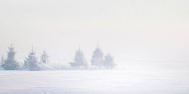 Pürüzsüz renklerle güzel bir kış günü manzarası. Kuzey Avrupa 'nın karlı manzarası.