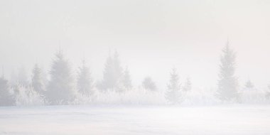 Pürüzsüz renklerle güzel bir kış günü manzarası. Kuzey Avrupa 'nın karlı manzarası.