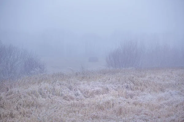 Uma Manhã Calma Tranquila Inverno Área Rural Paisagem Nevada Norte — Fotografia de Stock