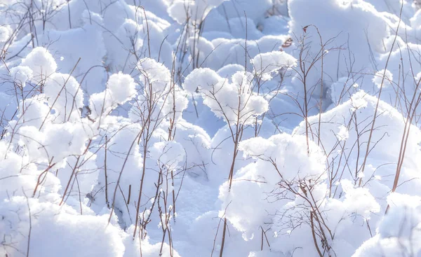 Piękny Zimowy Dzień Krajobraz Obszarów Wiejskich Snowy Krajobraz Północnej Europy — Zdjęcie stockowe