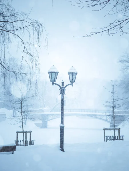 Чудові Подробиці Сніжної Риги Столиці Латвії Зимовий День Місті Північна — стокове фото