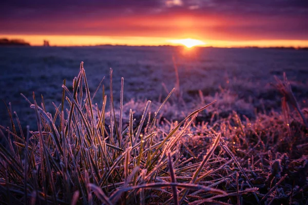 Hermoso Colorido Amanecer Primaveral Sobre Campo Paisajes Estacionales Del Norte — Foto de Stock