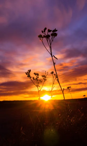 Piękne Słońce Wschodzące Nad Wiosennym Krajobrazem Europy Północnej Sezonowe Krajobrazy — Zdjęcie stockowe