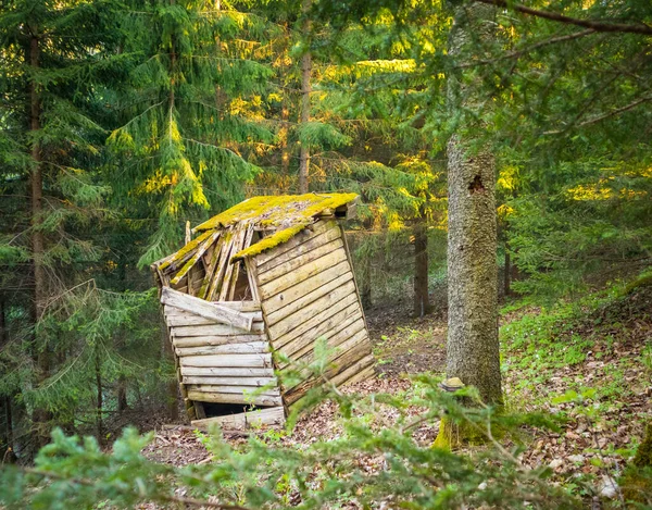 Vecchio Capanno Tronchi Nella Foresta Con Muschio Sul Tetto Paesaggio — Foto Stock