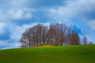 Kuzey Avrupa 'nın güzel bir ilkbahar manzarası. Mevsimlik manzara.