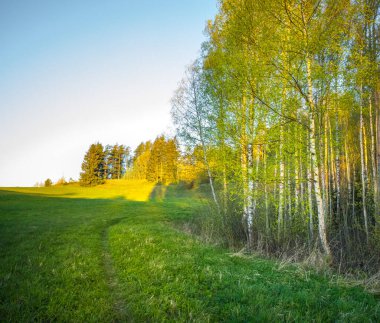 Kuzey Avrupa 'nın güzel, renkli bir bahar manzarası. Kırsal bölgenin mevsimsel manzarası.
