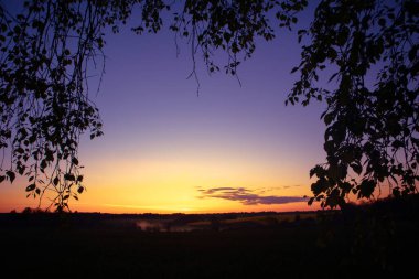 Kuzey Avrupa 'nın güzel, renkli bir bahar manzarası. Kırsal bölgenin mevsimsel manzarası.