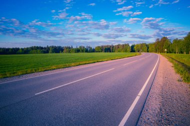 Asfalt yolu olan güzel bir kırsal alan. Kuzey Avrupa 'nın mevsimlik manzarası.