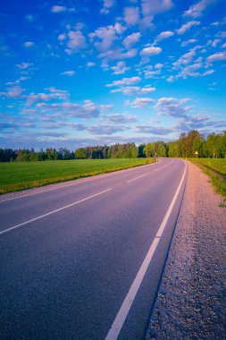 Asfalt yolu olan güzel bir kırsal alan. Kuzey Avrupa 'nın mevsimlik manzarası.