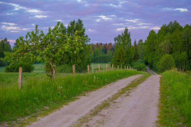 Çakıl yollu güzel bir ilkbahar manzarası. Kuzey Avrupa 'da toprak yol.