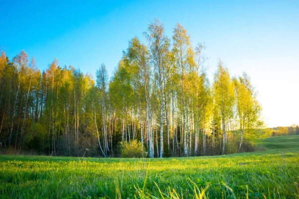 북유럽의 아름답고 풍경이다 지역의 계절적 — 스톡 사진