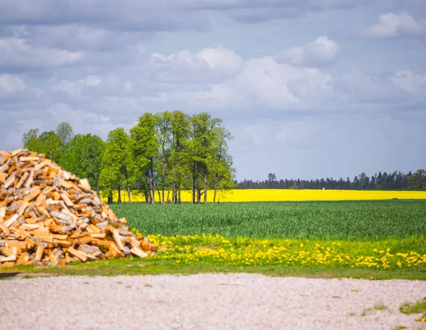 Hermoso Colorido Paisaje Primavera Del Norte Europa Paisaje Estacional Zona — Foto de Stock