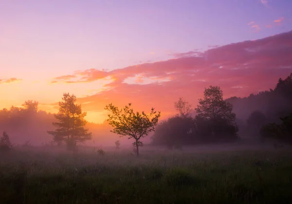 Una Bellissima Alba Primaverile Con Cielo Drammatico Colorato Paesaggio Stagionale — Foto Stock