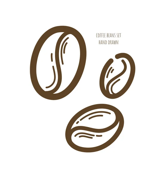 Coffee beans on white background. Hand drawn vector set. Medium roast. Decorative element for cafe menu design, advertising layout. Hand drawn art illustration. Espresso blend. Graphic linear sketch.