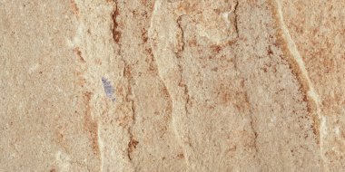 Açık sepia tonlu sanat kağıdı veya duvar kağıdı, bej ve sarı renklerde soyut pastel arkaplan