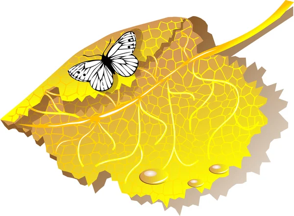 Herbstlaub und Schmetterling — Stockvektor