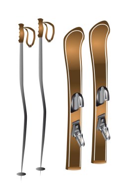 Kayak ve Kayak direkleri