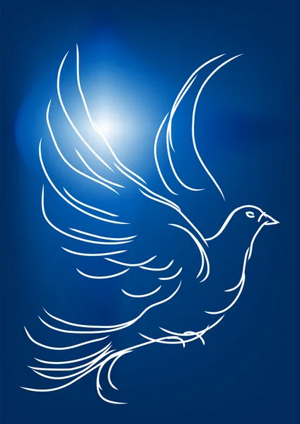 White dove in a blue sky — Stock Vector