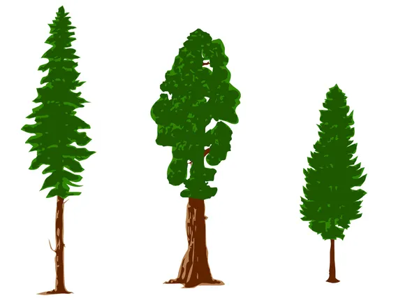 Silhouettes of pine trees — Stock Vector