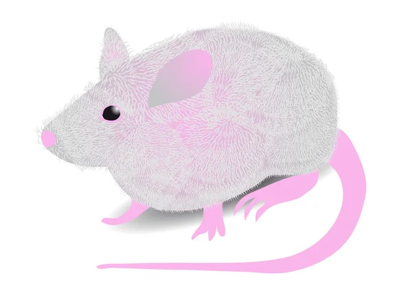 Ratón gris — Vector de stock