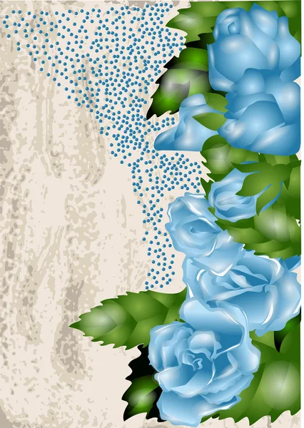 背景与蓝玫瑰 — 图库矢量图片