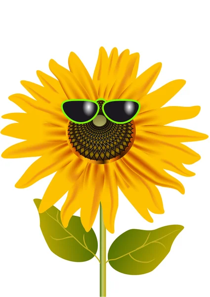 Sunflower in glasses — Stock Vector