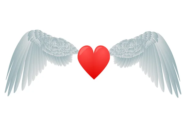 Καρδιά και λευκά φτερά — Διανυσματικό Αρχείο