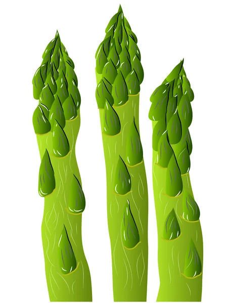 Grüner Spargel — Stockvektor