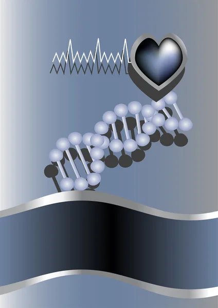 Heart and DNA — Stock Vector