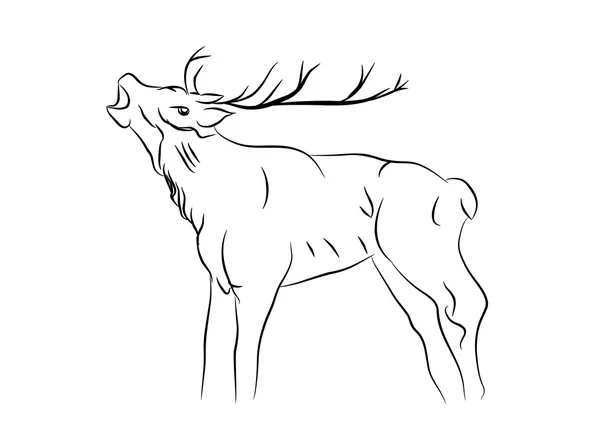 鹿のスケッチ — ストックベクタ