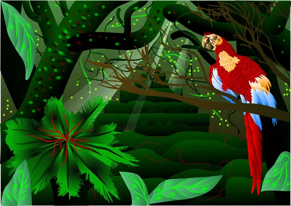 Forêt amazonienne — Image vectorielle