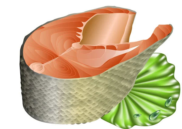 Saumon sur feuille de laitue — Image vectorielle