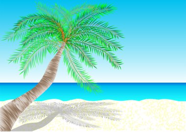 Bahamalar