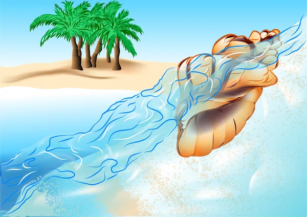 Coquille et plage — Image vectorielle