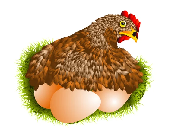 Rode duivin met eieren — Stockvector