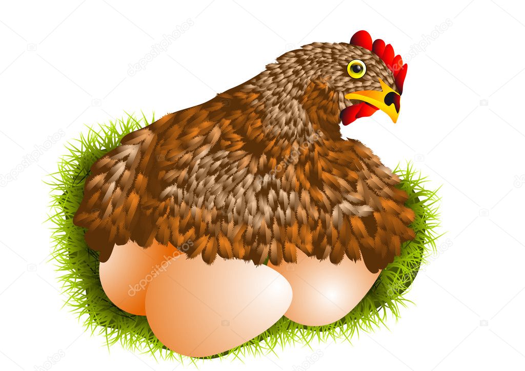 red hen with eggs