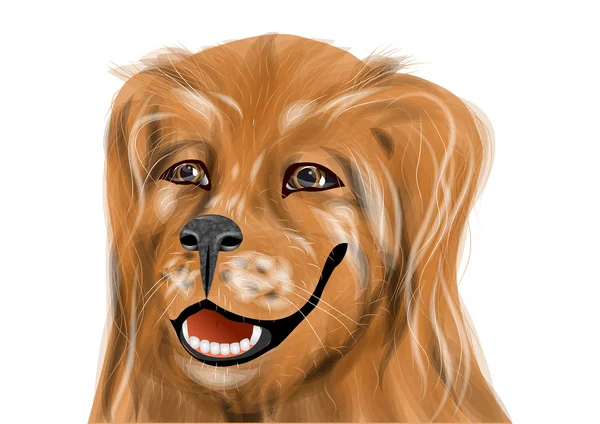 Golden Retriever — Image vectorielle