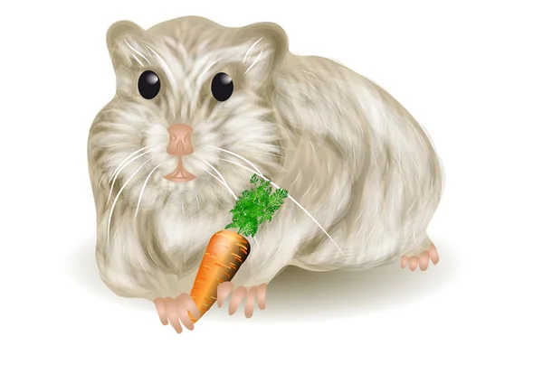 Hamster — Stock Vector