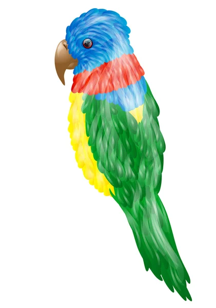 Parrot — Stock Vector