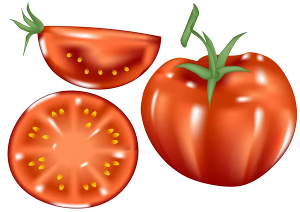 Pomodori freschi — Vettoriale Stock