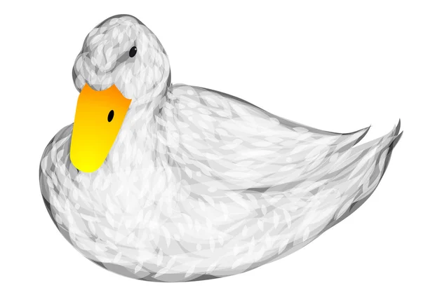 White duck — Stock Vector