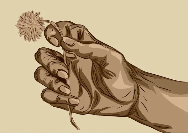 Hand houden bloem — Stockvector